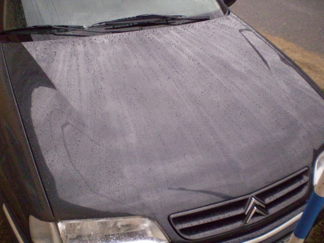 P7010046.JPG