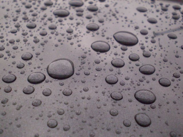 P7010048.JPG