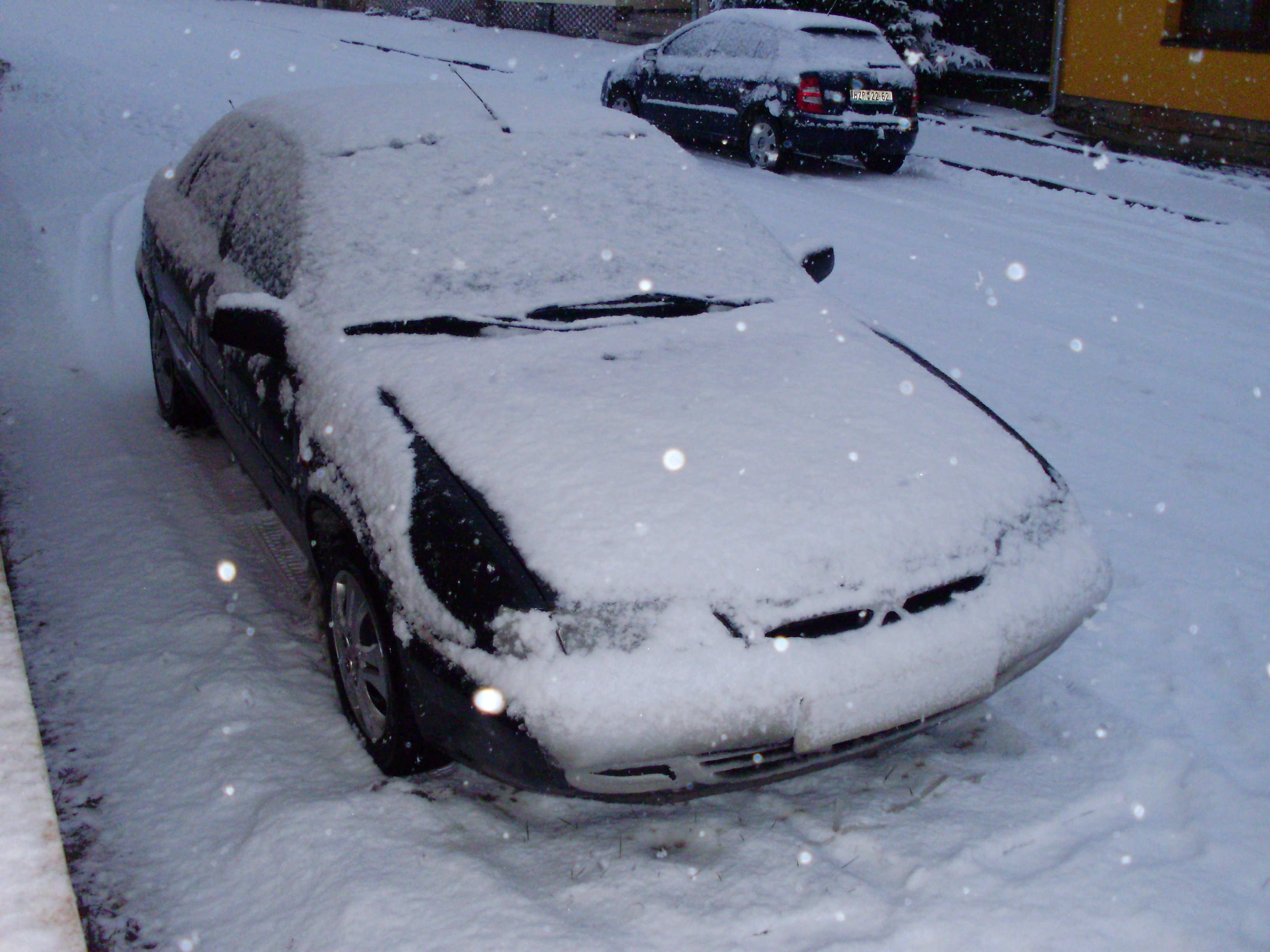 P2100146.JPG